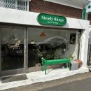 스테디띵스
