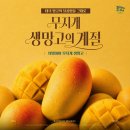 커피데이 위례 | 위례 맛집 샤브올데이 할인받고 망고 무제한으로 즐겨요!