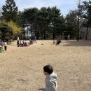 꿈땅숲어린이집 | [지호수업👶🏻] 꿈땅 아기숲학교