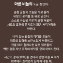 마른 비늘의 도금 이미지