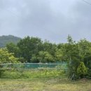 관운농장 이미지