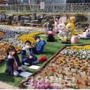 경산중앙초등학교 경안일보