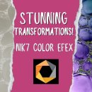 Unlock Hidden Magic in Nik 7 Color Efex: 5 Filters, Endless Creativity! 이미지