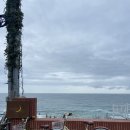 북스테이 노란 | 묵호 혼자 여행 숙소 추천 어달빛스테이 게스트하우스 후기 (묵호 게스트하우스 내돈내산)