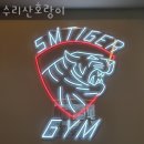수리산호랑이