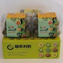 위키위키 제주매일
