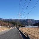 효석문학100리길 제2구간 이미지