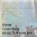 단양여행 | 다누리아쿠아리움 | 비오는날 | 7개월 아기와 함께