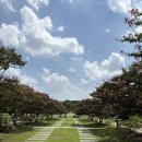 국립광주박물관 | 국립 광주박물관 어린이관 후기 홈페이지 예약 꿀팁