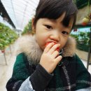 부창농장 이미지