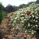 섬마을바다 이미지