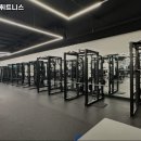팀마린휘트니스