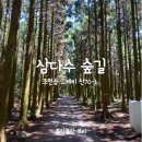 삼다수숲길 주차장 이미지