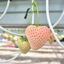 복학농장 이미지