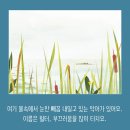부끄럼쟁이 월터의 목소리 찾기 | 앤 킴 하 (지은이),서남희 (옮긴이) | 국민서관 이미지