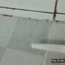 새날공부방 이미지