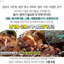 우신엔지니어링주 이미지