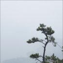 밧줄이용 하산 이미지