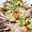 은행나무집 이미지