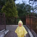 에버랜드 비 오는 날 꿀팁 ☔ 퍼레이드·불꽃놀이 취소 기준 + 비해피 재방문권 후기