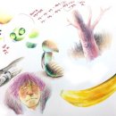 영원한미소&황금박쥐미술만화학원