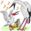 황새마을 | [우화소설] <황새결송>