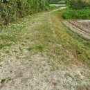 내고2농로 이미지