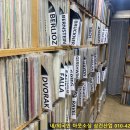 LP사구팔구 이미지