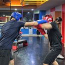 와일드복싱짐 본관 이미지