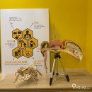 꿀벌체험장 이미지