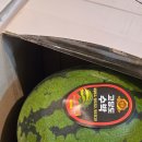 골드샤인 이미지