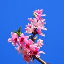 반곡저수지 이미지