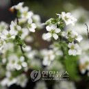 (유)하이얀 이미지