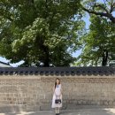 후원 | [서울 종로] 늦봄 창덕궁 후원 관람 후기 - 상편