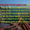 미라농장 이미지