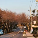 성산읍 온평리 재활용 도움센터 | 제주올레 3 – A 코스 온평 - 표선 올레