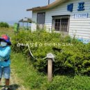 하단동1195 이미지