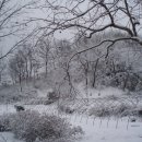 나무네농장 이미지