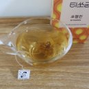 티쏘굳