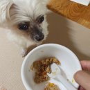 댕댕공방 이미지