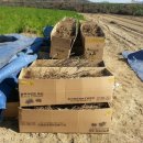 구미농장 이미지