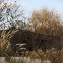 신효동-29 이미지