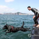 투투 이미지