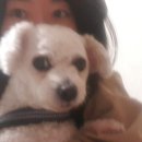 (주)알리앙스 네이버블로그