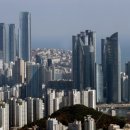 스펀지플러스마트 이미지