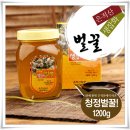순수생도