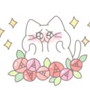 아가마미 고양이카페 이미지