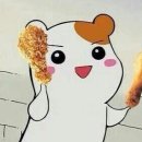 와요치킨 이미지