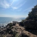 올레길 | 4월 제주 '올레길 5코스' 걸은 후기