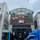 영해만세시장 티스토리